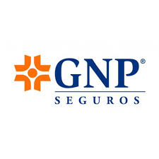 GNP Seguros Supervisoría Mexicali