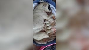 Help for the homeless by Marjorie Yoslowitz