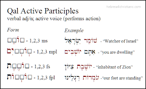 Qal Participles In Biblical Hebrew