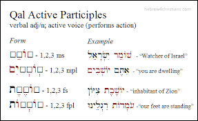 qal participles in biblical hebrew