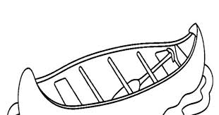 Canoes are popular all over the world. Canoe Coloring Pages Coloring Pages Canoe Children Sketch