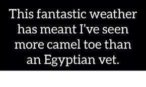It's really rude of them to say anything so mean! This Fantastic Weather Has Meant I Ve Seen More Camel Toe Than An Egyptian Vet Meme On Me Me