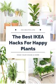 Ikea Plant Hacks Your Green Friends Will Love House Plants Decor Ikea Plants Plant Hacks