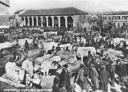 Storia Mercato Di Casteggio