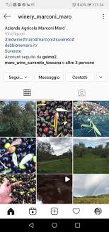 Rubare çendi sare wey ezê maro brevinım dılê mın bırindare. Azienda Vinicola E Agrituristica Marconi Maro Startseite Facebook