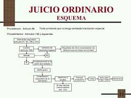 Juicio Ordinario Job Info Airline