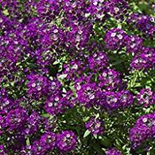 Pin On Seasonal Color By Color