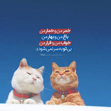 Pin By Tgh On Persian Poem قند پارسی Farsi Quotes Cool Words Amature Photography