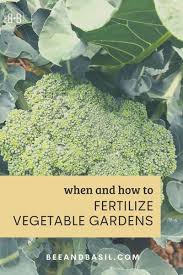 If you're worried about how much. Why Do We Fertilize You Might Be Surprised Bee And Basil Gardening For Beginners Vegetable Garden Fertilizer Planting Vegetables