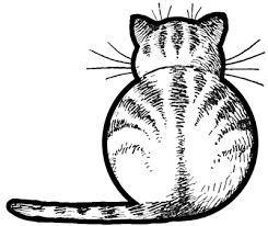 Black And White Cat Drawing Cartoon How To Draw Kitty Cats From The Back Easy Step By Step Drawing Tutorials For Kids Preschoolers How To Draw Step By Step Drawing Tutorials Cat Drawing Tutorial Drawing