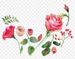 Check spelling or type a new query. Watercolor Painting Flower Rose Royalty Free Watercolor Flowers Vector Free Download Free Transparent Png Clipart Images Download