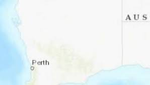 Image result for Buchnera pusilliflora