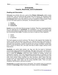 Arthropods Insects Arachnids And Crustaceans Worksheet Arthropods Lesson Planet Arthropods Lesson