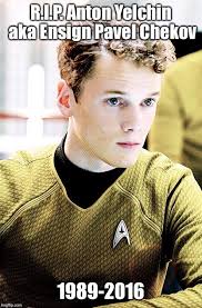 How old was the deer that died in a car accident?