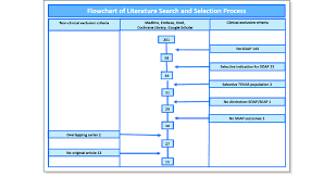 Flowchart Of Literature Search And Selection Process Seap