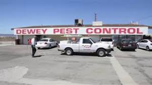 Dewey pest control was founded by ray m. About Us Dewey Pest Control
