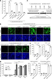 Maybe you would like to learn more about one of these? Alpha Kinase 1 Is A Cytosolic Innate Immune Receptor For Bacterial Adp Heptose Nature