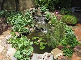 Maybe you would like to learn more about one of these? Lovely Little Ecosystem Koi Pond In Phoenix Az Youtube