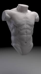 Note the watchful eyes with carved eye bulks, pulsing veins on the back of the hands, engorged with tension. Torso Anatomy Practice Jeremy Jodoin Artstation