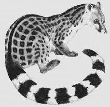 Gerard genette's work in particular has been used with some success to map out the possibilities offered by applying the concept of intertextuality to the design of information retrieval systems. Genette De Johnson Espece Menacee Et Peu Connue Download Scientific Diagram