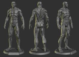 Http Www Zbrushcentral Com Attachment Php Attachmentid 395974 Man Anatomy Anatomy For Artists Statue