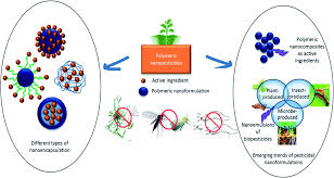 In 1994, we established the biopesticides and pollution. Recent Advances In The Applications Of Nano Agrochemicals For Sustainable Agricultural Development Environmental Science Processes Impacts Rsc Publishing Doi 10 1039 D0em00404a