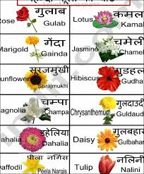 Hindi Flowers Chart Hindi Language Learning Flower Chart
