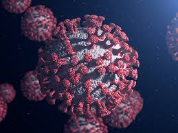 Es tan frecuente que la mayoría de los niños ya se han infectados con el virus cuando rondan los 2 años de. Tlr Virus Sincicial Respiratorio Rsv Controllab