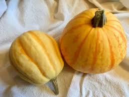 Image result for carnival acorn squash