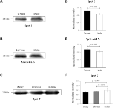 Check out distinguish similar words like distinguishing flag hindu translation is antar lana अंतर लाना. Potential Use Of Human Hair Shaft Keratin Peptide Signatures To Distinguish Gender And Ethnicity Peerj