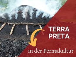 Enjoy and don't forget to share link in the bio#galiya #outnow #terra #sajanka. Permakultur Terra Preta In Der Permakultur