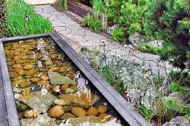 Image result for garden pond ideas