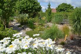 Diese garten angebote hast du verpasst Botanischer Garten Der Baumschule Hager Mecklenburgische Seenplatte