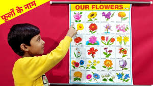 All flowers name full video guide. Learn Flowers Name In Hindi English à¤« à¤² à¤• à¤¨ à¤® Name Of Flowers Preschool Youtube