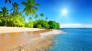 Maybe you would like to learn more about one of these? Wallpaper Beautiful Beach Palm Trees Sea Sunshine Tropical Scenery 5120x2880 Uhd 5k Picture Image