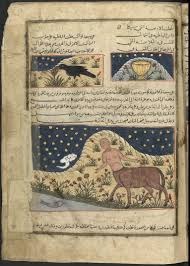 Pin On Wonders Of Creation