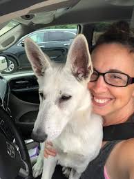 Happy 1 year adoptaversary to Echo (Polly Pocket)