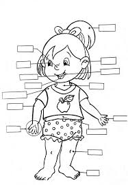 Immagine Il Corpo Umano Corpo Umano Parti Del Corpo Scienza Per Bambini