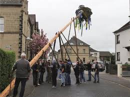 Denkst du, dass du heute irgendwo einen frischen maibaum (birke) herbekommst? Maibaumstellen An Der Teichwiese