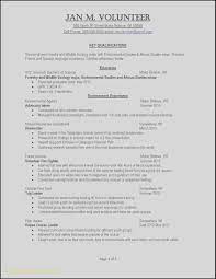 Actually Free Resume Builder Really Free Resume Builder Truly Free Resume Builder Free Resume Builder And Dow Resume Examples Resume Skills Job Resume Template
