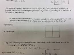 Check spelling or type a new query. Enotype 100 W Bb Bbb Bb Complete The Following Chegg Com