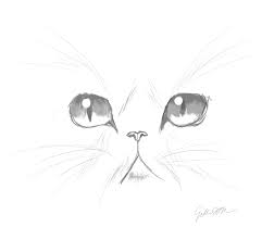 Black And White Cat Drawing Png Cat Face Sketch By Pinkiepiez D5aalme Png 1887 1635 Cute Wolf Drawings Cute Cat Face Cute Bear Drawings
