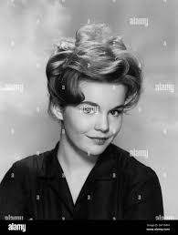 Tuesday weld hi-res stock photography and images