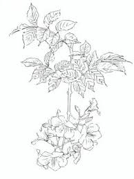 Check spelling or type a new query. ãƒ'ãƒžãƒ¯ãƒª å¡—ã‚Šçµµã‚¤ãƒ©ã‚¹ãƒˆ No 456777 ç„¡æ–™ã‚¤ãƒ©ã‚¹ãƒˆãªã‚‰ ã‚¤ãƒ©ã‚¹ãƒˆac