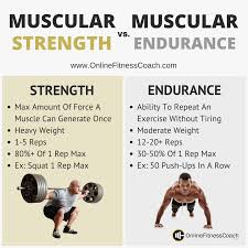 Muscular Strength And Muscular Endurance Endurance Workout Muscular Endurance Strength And Conditioning Workouts