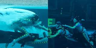 1920 x 1080 jpeg 904 кб. Avatar 2 S Record Breaking Underwater Scenes Can Beat Original S 3d Magic Ngradio Gr Ngradio Gr