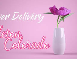 Check spelling or type a new query. The 9 Best Options For Flower Delivery In Ann Arbor Michigan 2021