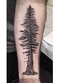 Pine Tree Tattoo I Worked On Today Based Off A Giant Redwood Love Doing Nice Illustrative Tattoos Like Tree Tattoo Arm Tree Tattoo Small Tree Tattoo Forearm