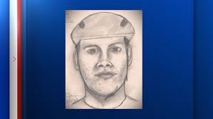 Harris County Pct. 1 deputy constables say they're looking for man who's  preying