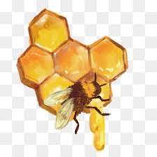 Free Download Beehive Honeycomb Honey Bee Vector Bee Nest Png 1600 1600 And 469 15 Kb Bee Painting Honey Bee Drawing Beehive Drawing